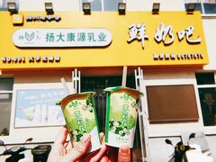 -扬大康源乳业鲜奶吧(大学北路店)