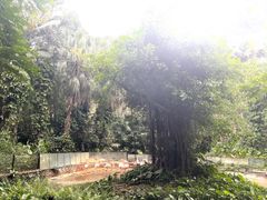 -深圳野生动物园