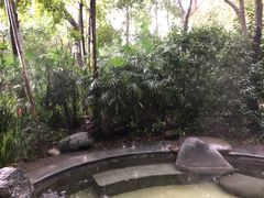 -青城道汤池