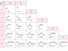 -学习谷日语培训日本留学·多语种外语教学(西单宣武分部)