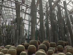 -南山植物园