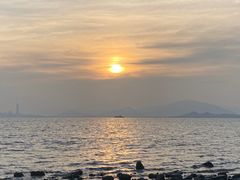 -深圳湾公园(南山区)
