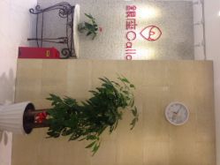 日本银座Calla专业脱毛连锁机构(八佰伴店)-银座Calla日式美容沙龙