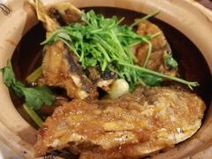 砂锅鱼头煲-紫金食坊(江南西路店)