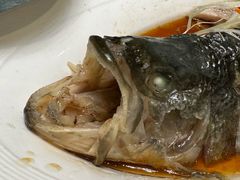 -俏巴渝·家宴·生日宴(锦绣城店)