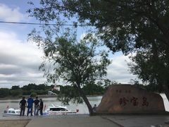 -珍宝岛