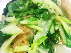 农家青菜-呼吸森林·生态农庄农家乐私房菜