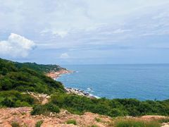 -广东惠东海龟国家级自然保护区