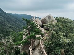 -罗田薄刀峰风景区
