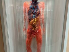 -陕西自然博物馆