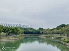 景点-深圳人才公园