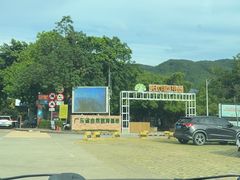 -东莞市大岭山森林公园