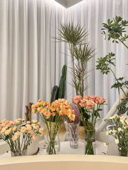 -韩芙莱芳疗spa健康管理