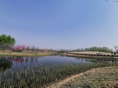 -东郊湿地公园