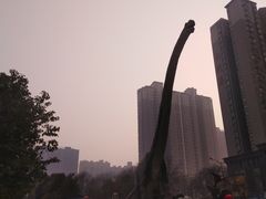 -陕西自然博物馆