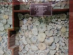 -南越王博物院(王宫展区)