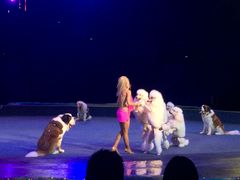 -珠海横琴长隆《卡卡虎奇遇记》