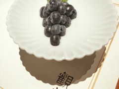 -觀芷隐轩