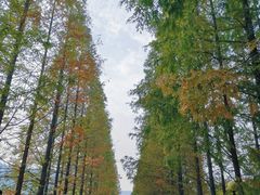 -黄河小浪底水利枢纽风景区