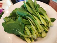 鸡毛菜-南门涮肉(上海二店)