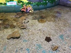 -重庆欢乐海底世界