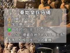 -老版火锅.12年西安排队王(沣峪口店)