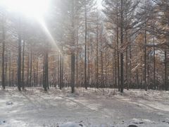 -塞罕坝国家级自然保护区