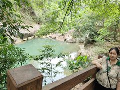 -广州白江湖森林公园