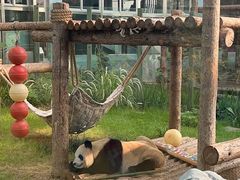 -大连森林动物园