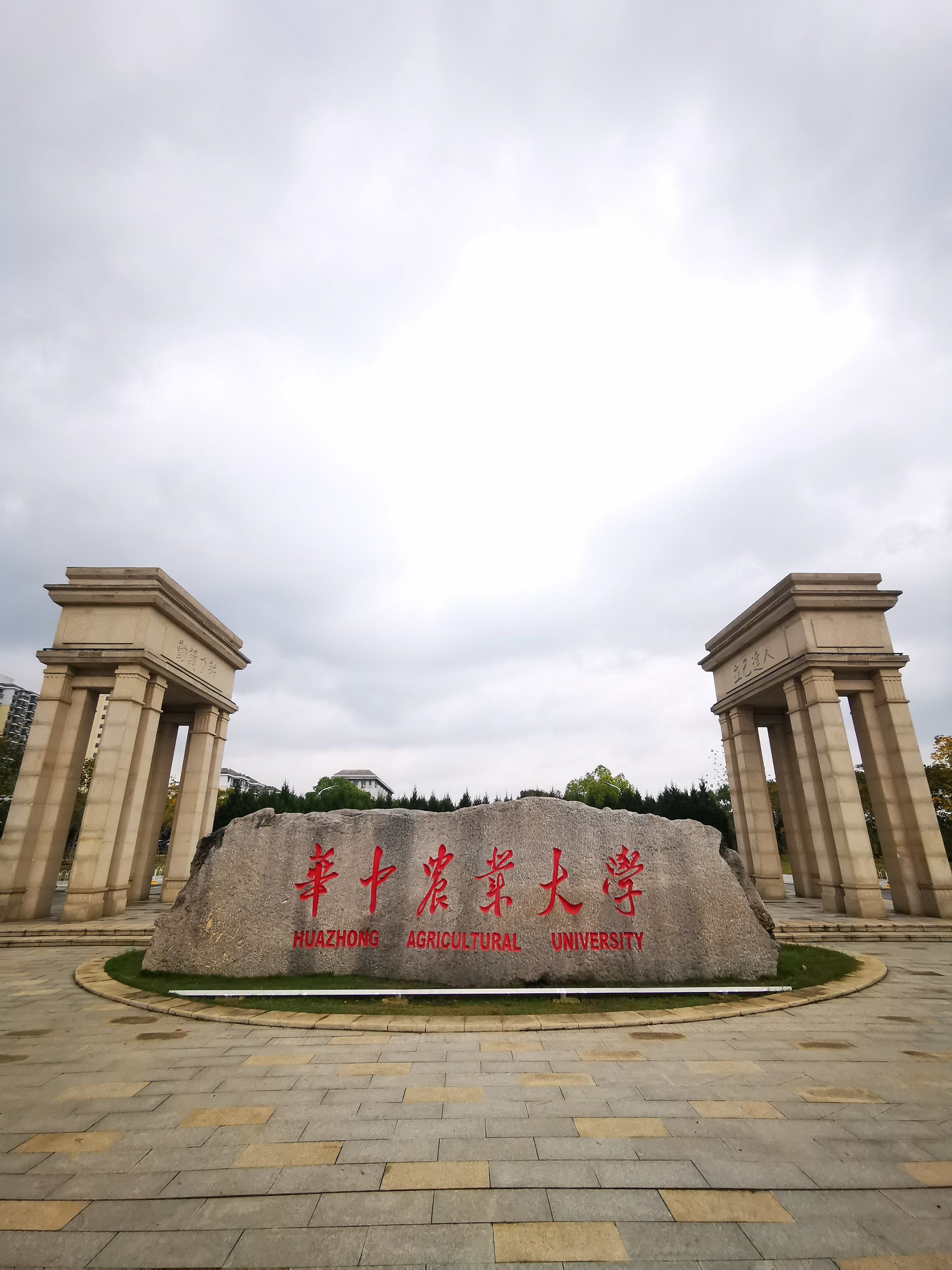 华中农业大学格桑花开放