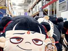 -山姆会员商店(亦庄创意生活广场店)