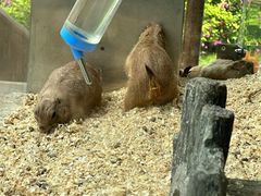 -珠海海泉湾神秘岛亲子乐园