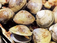 -丹东特色烤肉(南光三部店)