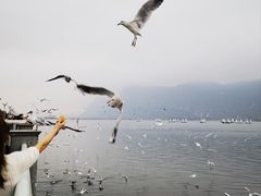 -海埂大坝