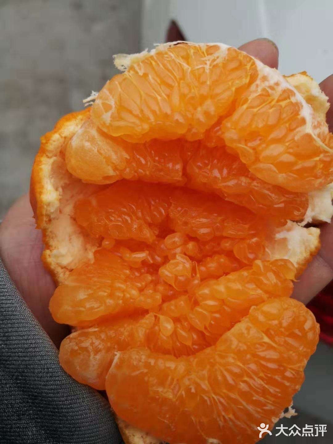 蒲江自家果园耙耙柑 10斤包邮 45-50元