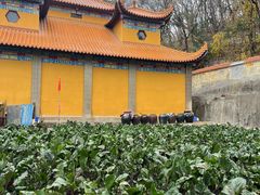 -宝通禅寺