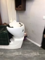 -零下一度造型