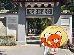 -白鹿洞书院