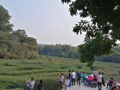 -大屏嶂森林公园