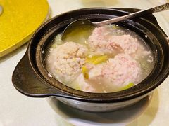 -丁老爷子苏香圆