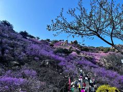 -青岛大珠山景区