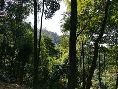 -火炉山森林公园
