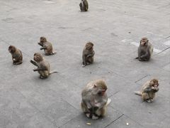 -千岛湖东南湖区