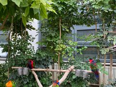 -南宫五洲植物乐园