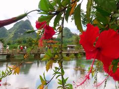 -靖西鹅泉风景区