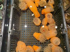 -王庄阿咪海鲜大排档(象园店)