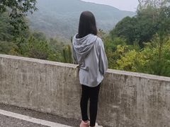 -广州白江湖森林公园