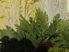 -老牌坊云南鱼豆花火锅(哈西万达店)
