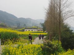 -新安江山水画廊风景区