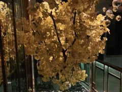-丽晶大班SPA(大沽店)